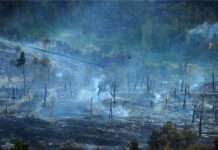 Požariste kraj Srinjina i Žrnovnice