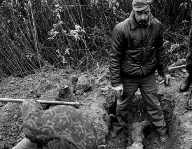“To je moj Vlado, rekao je otac Viktor. Stajao je poviše ljudi koji su otkopavali. Nije više ništa rekao. Stajao je nijem i gledao kako mu se iz zemlje pomalja sin devetnaestogodišnjak.