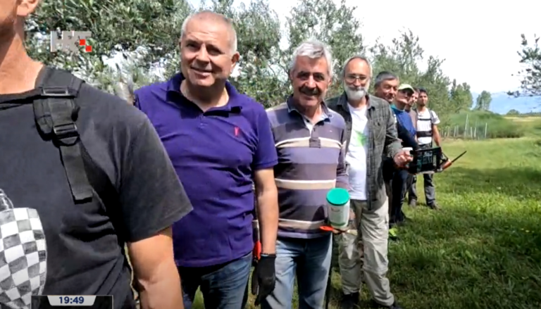 (VIDEO) RATNI VOJNI INVALIDI RADE NAJBOLJA MASLINOVA ULJA NA SVIJETU: Pokupili sve medalje u New Yorku i Tokiju