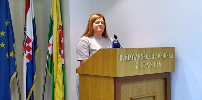 Sramotan istup vijećnice: ‘Neka ministar demografije bude Rom, nemaju problema s natalitetom’