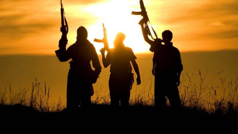 Bosna – zemlja kampova